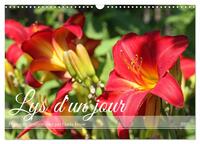 Lys d'un jour (Calendrier mural 2026 DIN A3 vertical), CALVENDO calendrier mensuel