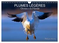 PLUMES LÉGÈRES. Oiseaux du Monde (Calendrier mural 2026 DIN A4 vertical), CALVENDO calendrier mensuel