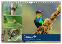 Colibris - pierres précieuses volantes (Calendrier mural 2026 DIN A4 vertical), CALVENDO calendrier mensuel