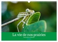 La vie de nos prairies - Demoiselles et libellules (Calendrier mural 2026 DIN A3 vertical), CALVENDO calendrier mensuel