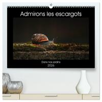 Admirons les escargots  (Calendrier mural 2026 DIN A2 vertical) calendrier de bureau