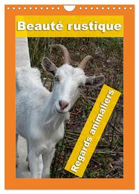 Beauté rustique Regards animaliers (Calendrier mural 2026 DIN A4 horizontal), CALVENDO calendrier mensuel