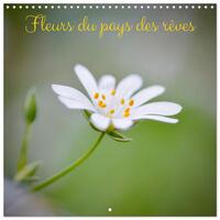 FLEURS DU PAYS DES REVES (CALENDRIER MURAL CARRE 2026 30X30 CM) CALENDRIER DOUBLE AVEC UNE PAGE POUR