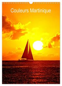 Couleurs Martinique (Calendrier mural 2026 DIN A3 horizontal), CALVENDO calendrier mensuel