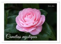 CAMELIAS MYSTIQUES (CALENDRIER MURAL 2026 DIN A3 VERTICAL), CALVENDO CALENDRIER MENSUEL - LA MAGIE D