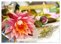 Nénuphars enchanteurs (Calendrier mural 2026 DIN A3 vertical), CALVENDO calendrier mensuel