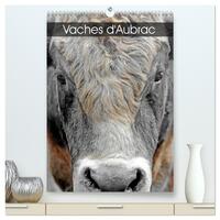 Vaches d'Aubrac  (Calendrier mural 2026 DIN A2 horizontal) calendrier de bureau