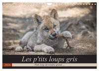 Les p'tits loups gris (Calendrier mural 2026 DIN A4 vertical), CALVENDO calendrier mensuel