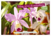 Mon rêve d'orchidées (Calendrier mural 2026 DIN A3 vertical), CALVENDO calendrier mensuel