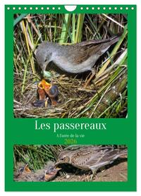 Les passereaux à l'orée de la vie (Calendrier mural 2026 DIN A4 horizontal), CALVENDO calendrier mensuel