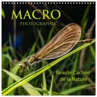 MACRO PHOTOGRAPHIE BEAUTE CACHEE DE LA NATURE (CALENDRIER MURAL CARRE 2026 30X30 CM) CALENDRIER DOUB