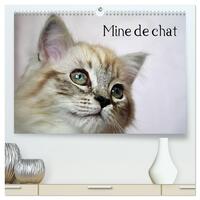 Mine de chat  (Calendrier mural 2026 DIN A2 vertical) calendrier de bureau