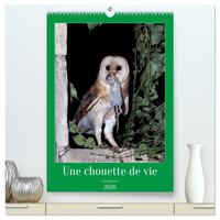 Une chouette de vie, les oiseaux  (Calendrier mural 2026 DIN A2 horizontal) calendrier de bureau