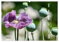 DES FLEURS ENCHANTERESSES (Calendrier mural 2026 DIN A2 vertical), CALVENDO calendrier mensuel