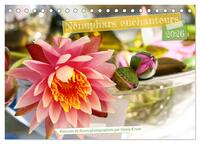 Nénuphars enchanteurs (Calendrier de bureau 2026 DIN A5 vertical), CALVENDO calendrier mensuel