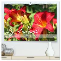 Lys d'un jour  (Calendrier mural 2026 DIN A2 vertical) calendrier de bureau