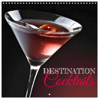 Destination cocktails (Calendrier mural carré 2026 30x30 cm) Calendrier double avec une page pour vos prises de notes