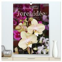 Miracle floral l'orchidée  (Calendrier mural 2026 DIN A2 horizontal) calendrier de bureau