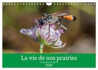 La vie de nos prairies - Les guêpes et les abeilles (Calendrier mural 2026 DIN A4 vertical), CALVENDO calendrier mensuel