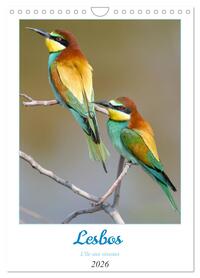 Lesbos l'île aux oiseaux (Calendrier mural 2026 DIN A4 horizontal), CALVENDO calendrier mensuel