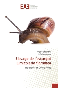 Elevage de l'escargot Limicolaria flammea