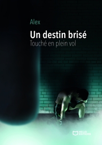 UN DESTIN BRISE - TOUCHE EN PLEIN VOL