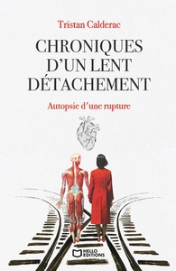 CHRONIQUES D'UN LENT DETACHEMENT - AUTOPSIE D'UNE RUPTURE