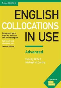 English collocations in use advanced book with answers