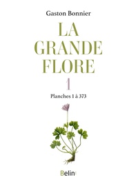 La grande flore en couleurs