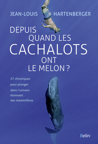 Depuis quand les cachalots ont le melon ?
