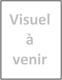 Le pont du Rhône à Lyon