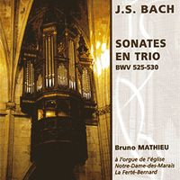 6 SONATES EN TRIO BWV 525-530 - BRUNO MATHIEU, ORGUE