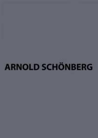 ORCHESTERFRAGMENTE - KRITISCHER BERICHT, SKIZZEN, ENTWURFE, FRAGMENTE. NOTES CRITIQUES.