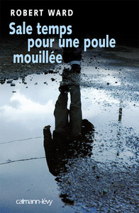 SALE TEMPS POUR UNE POULE MOUILLEE