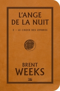 L'Ange de la Nuit, T2 : Le Choix des Ombres