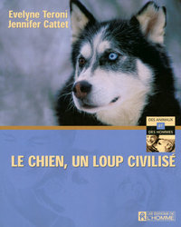 CHIEN UN LOUP CIVILISE