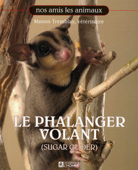 Le phalanger volant