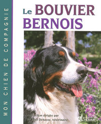 LE BOUVIER BERNOIS