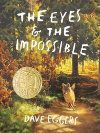 THE EYES AND THE IMPOSSIBLE /ANGLAIS