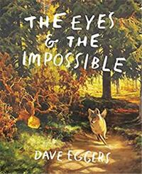 THE EYES AND THE IMPOSSIBLE /ANGLAIS