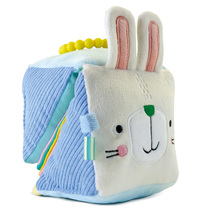Mon ami le lapin / livre cube
