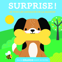 JE VOIS LES ANIMAUX DE LA MAISON / SURPRISE