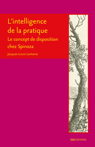 INTELLIGENCE DE LA PRATIQUE