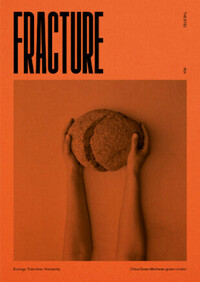 THE EYES N 14 FRACTURE (ANGLAIS)