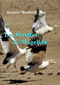 LES OUETTES DE MAGELLAN