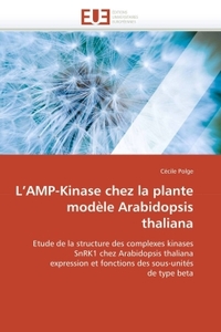 L AMP-KINASE CHEZ LA PLANTE MODELE ARABIDOPSIS THALIANA