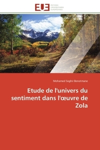 Etude de l'univers du sentiment dans l'oeuvre de Zola