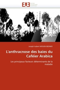 L''anthracnose des baies du caféier arabica