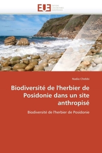 Biodiversité de l'herbier de posidonie dans un site anthropisé