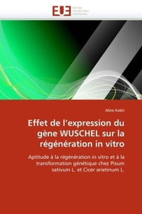 Effet de l''expression du gène wuschel sur la régénération in vitro